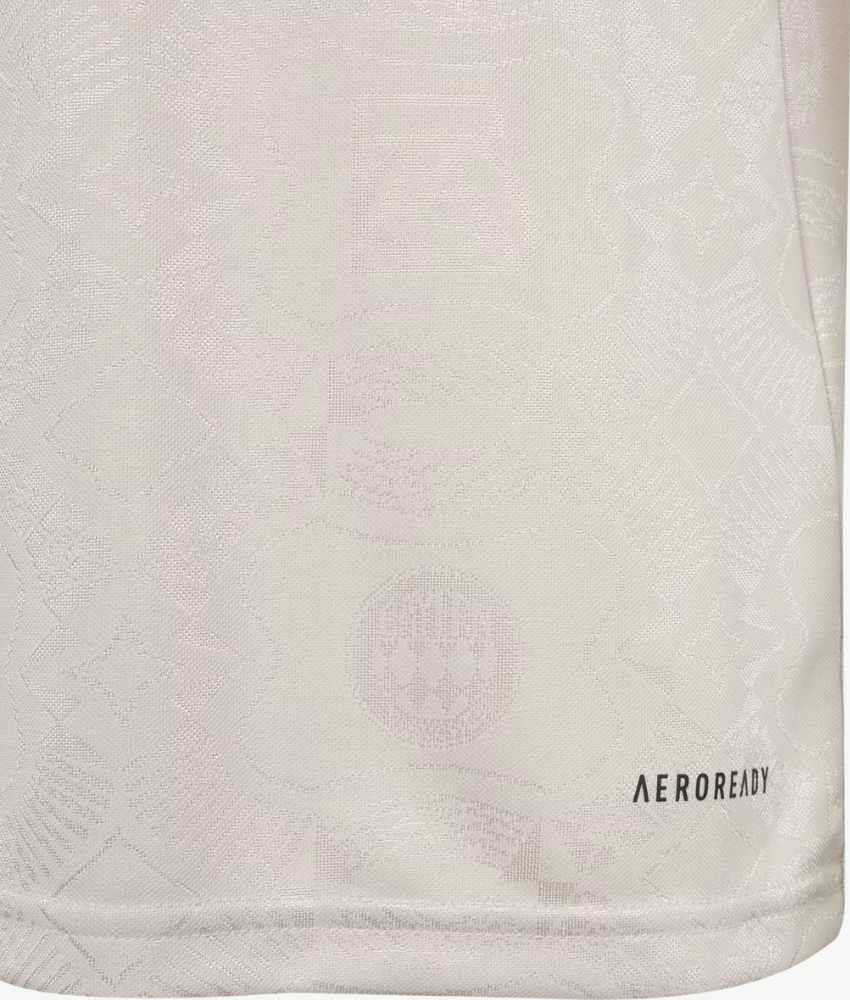 BAYERN MUNICH 2025/26 COMMERATIVE SPECIAL EDITION SHIRT