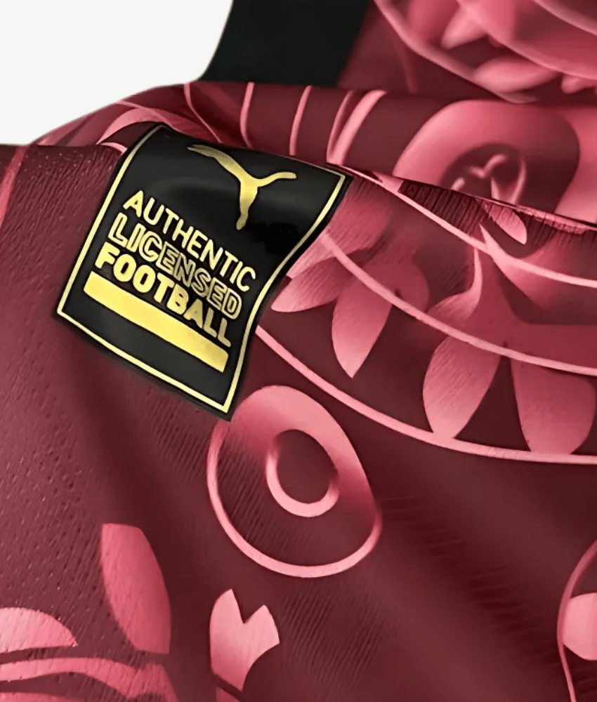 GALATASARAY 2025/26 THIRD SHIRT-Shirt - False9Fits