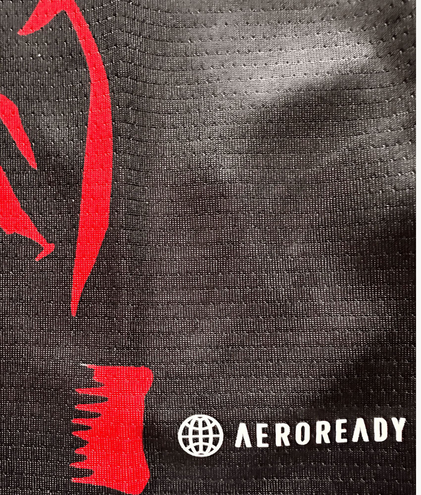 JAPAN 2024 'ANIME LEGEND DARKNESS EDITION' SHIRT-Shirt - False9Fits