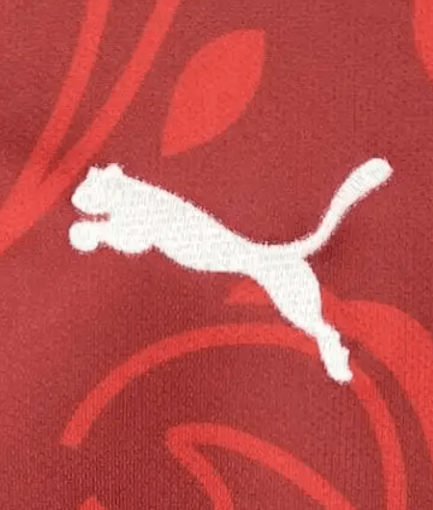 PORTUGAL 2025 SPECIAL EDITION SHIRT-Shirt - False9Fits