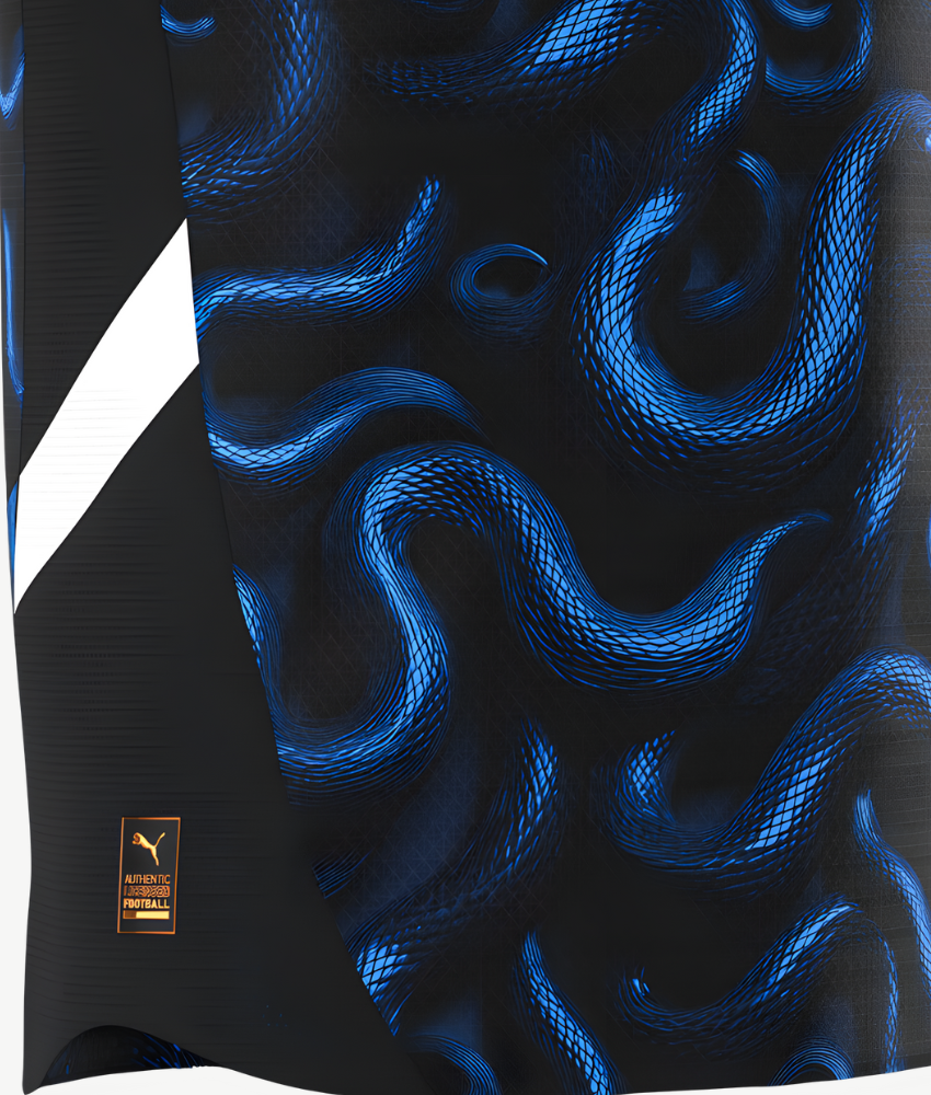 INTER MILAN 2025/26 SPECIAL EDITION SHIRT