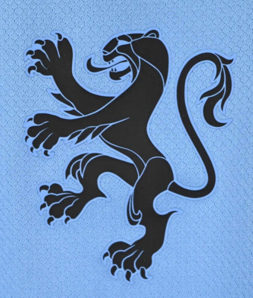 NETHERLANDS 2025/26 AWAY SHIRT (WNT)