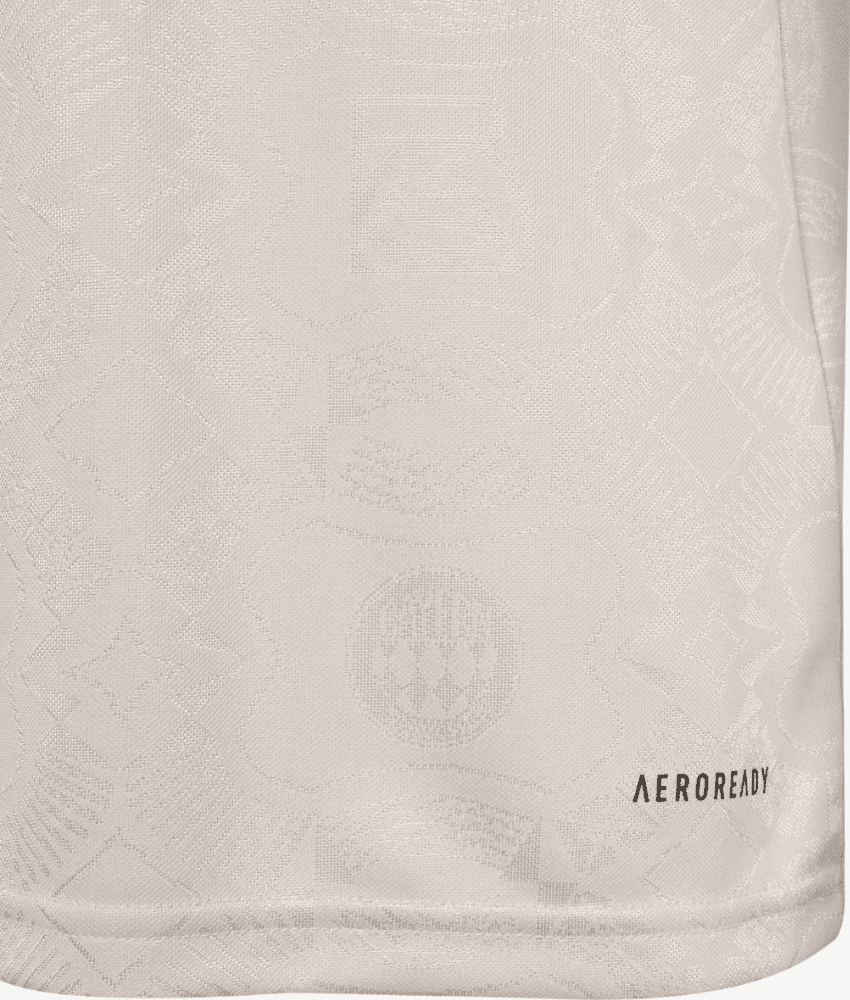 BAYERN MUNICH 2025/26 COMMERATIVE SPECIAL EDITION SHIRT-Shirt - False9Fits